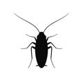 Cockroach silhouette. Isolated cockroach on white background