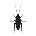 Cockroach silhouette vector illustration isolated on a white background.