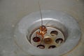 Cockroach struck in sink hole