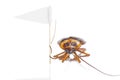 Cockroach surrender Royalty Free Stock Photo