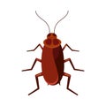 Cockroach vector icon isolated on white background.