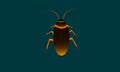 Cockroach vector illustraion esp10