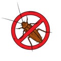 Cockroach. Vector illustration isolated on white background.