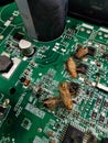 Cockroaches that climbed closed the electronic board burned down along with the equipment that caused the cockroaches to short