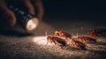 Cockroaches Illuminated by Flashlight on Dark Surface in a Close-Up View During Nighttime Exploration Royalty Free Stock Photo