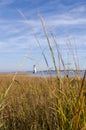 Cockspur Island Lighthouse in Georgia