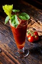 Cocktail Bloody Mary Royalty Free Stock Photo