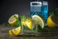 Cocktail with blue gin , tonic and lemon Royalty Free Stock Photo