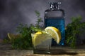 Cocktail with blue gin , tonic and lemon . Royalty Free Stock Photo