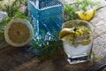 Cocktail with blue gin , tonic and lemon . Royalty Free Stock Photo