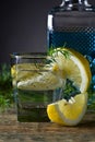 Cocktail with blue gin , tonic and lemon . Royalty Free Stock Photo