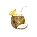 Cocktail in coconut. Tropical fruit sketch.