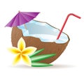 Cocktail of coconut vector illustration