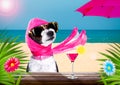 Cocktail drink dog on  summer holiday vacation a the beach club bar Royalty Free Stock Photo