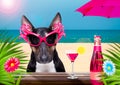 Cocktail drink dog on  summer holiday vacation a the beach club bar Royalty Free Stock Photo