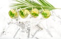 Cocktail drink mint ice Cold summer lemonade ice tea Royalty Free Stock Photo