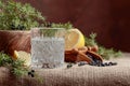 Cocktail gin, tonic with lemon and a branch of juniper with berries.