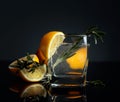 Cocktail gin-tonic with lemon slices and twigs of rosemary Royalty Free Stock Photo