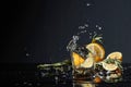 Cocktail gin-tonic with lemon slices and twigs of rosemary Royalty Free Stock Photo