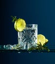 Cocktail gin-tonic with lime and rosemary on a glass table