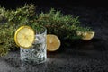 Gin , tonic with slices of lemon and a sprig of juniper . Royalty Free Stock Photo