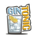 Cocktail Gin Tonic