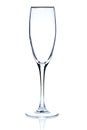 Cocktail Glass collection - Champagne Flute Royalty Free Stock Photo