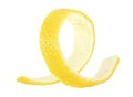 Cocktail ingredient - spiral lemon peel isolated on white background. Citron