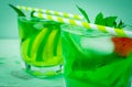 Cocktail with lemon and lime with fresh green mint Royalty Free Stock Photo