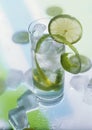 Cocktail with lime Royalty Free Stock Photo