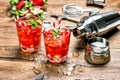 Cocktail making bar tools Red drink with ice Royalty Free Stock Photo