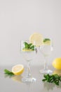 Cocktail with mineral water, lemon and mint leaves Royalty Free Stock Photo