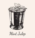 Cocktail Mint Julep for the Derby Hand Drawing Vector Illustration Royalty Free Stock Photo