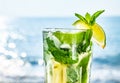 Cocktail mojito with ice and lemon Royalty Free Stock Photo