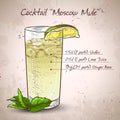 Cocktail Moscow mule