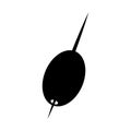 Cocktail olive isolated icon