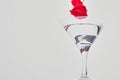 Cocktail with rose flower on white background. Royalty Free Stock Photo