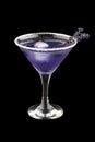 Cocktail with rum and lavender on a dark background. Isolated