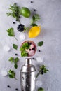 Cocktail shaker, lemon, lime, mint leaves blueberry and ice for preparing a cocktail Royalty Free Stock Photo