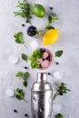 Cocktail shaker, lemon, lime, mint leaves blueberry and ice for preparing cocktail Royalty Free Stock Photo