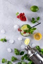 Cocktail shaker, lemon, lime, mint leaves , red currant and ice for preparing cocktail Royalty Free Stock Photo