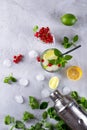 Cocktail shaker, lemon, lime, mint leaves , red currant and ice for preparing a cocktail Royalty Free Stock Photo