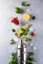 Cocktail shaker, lemon, lime, mint leaves , red currant and ice for preparing a cocktail Royalty Free Stock Photo