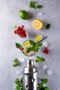 Cocktail shaker, lemon, lime, mint leaves , red currant and ice Royalty Free Stock Photo