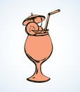 Cocktail. Vector drawing Royalty Free Stock Photo