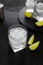 Cocktail vodka or gin with ice and slice lime