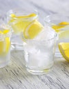 Cocktail with vodka and lemon. Vodka with ice. Royalty Free Stock Photo