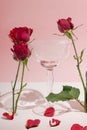 Cocktail Wine Glass with Red Roses and Pink Wall Royalty Free Stock Photo