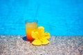 Cocktail with yellow flower over blue surface water background. Royalty Free Stock Photo