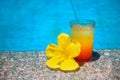 Cocktail with yellow flower over blue surface water background. Royalty Free Stock Photo